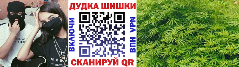 Шишки марихуана Amnesia  Купить где  Дегтярск 